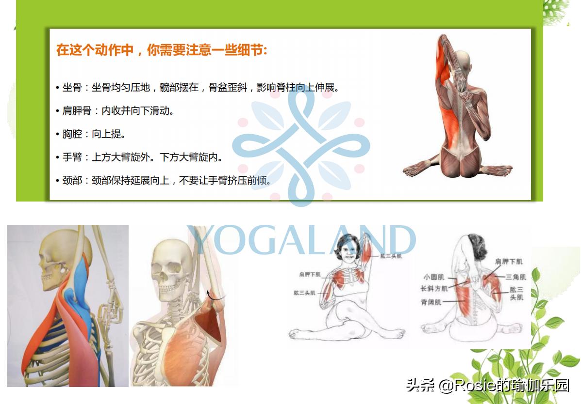 屁股肥大腿粗平躺怎么瘦,久坐腿粗臀下垂怎么锻炼