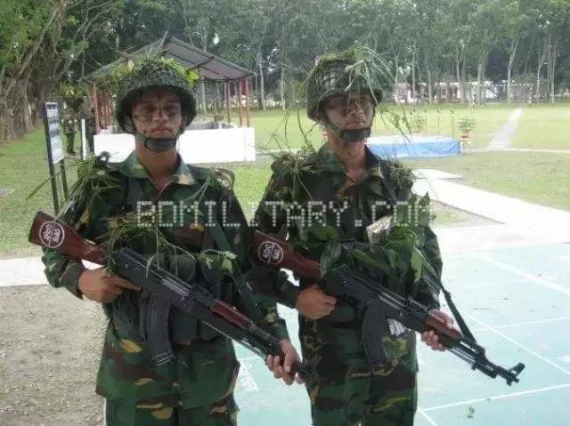 中国山寨武器,中国山寨版步枪