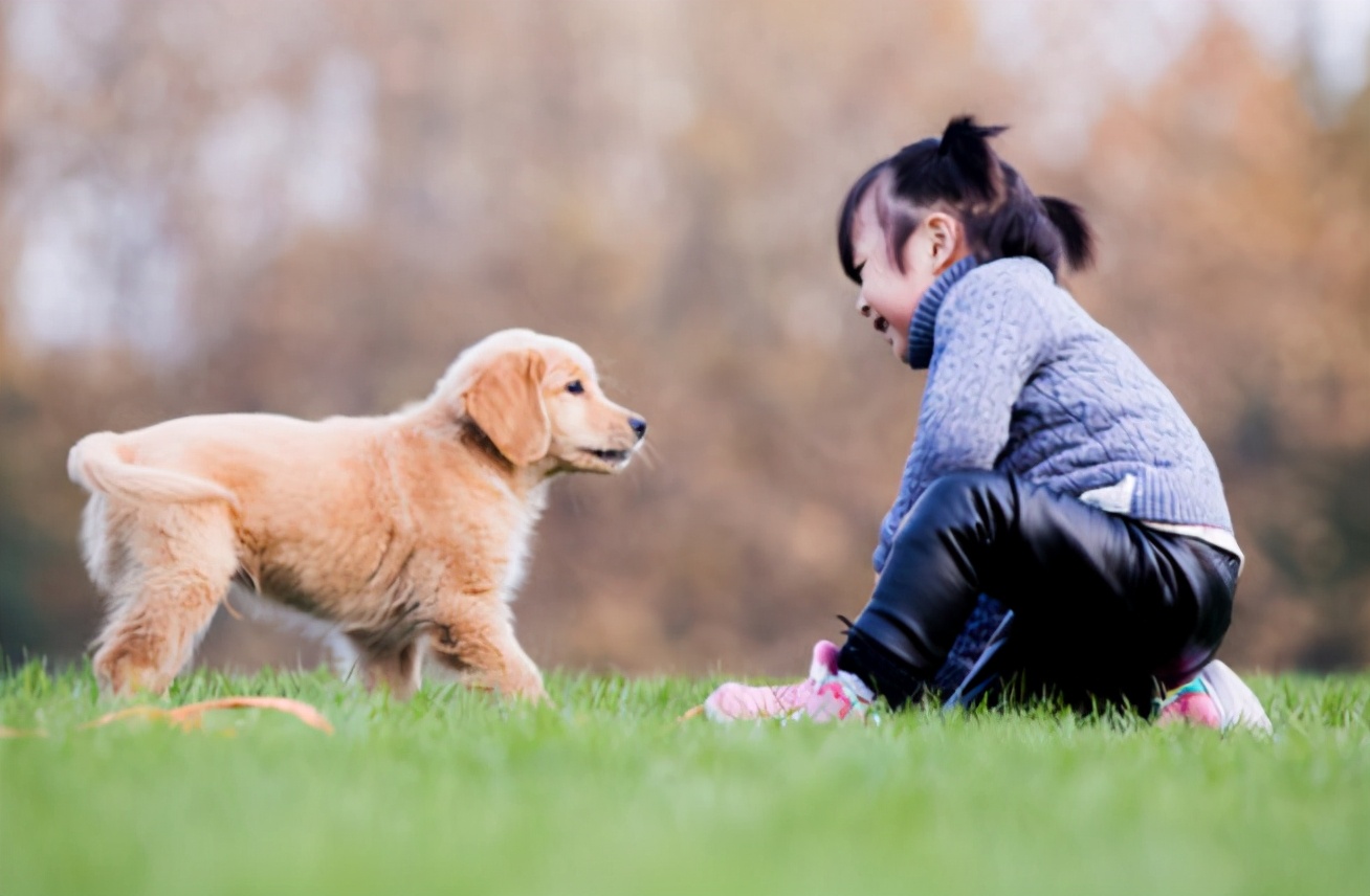 高情商的父母如何和孩子说话,再也不跟你玩了音频