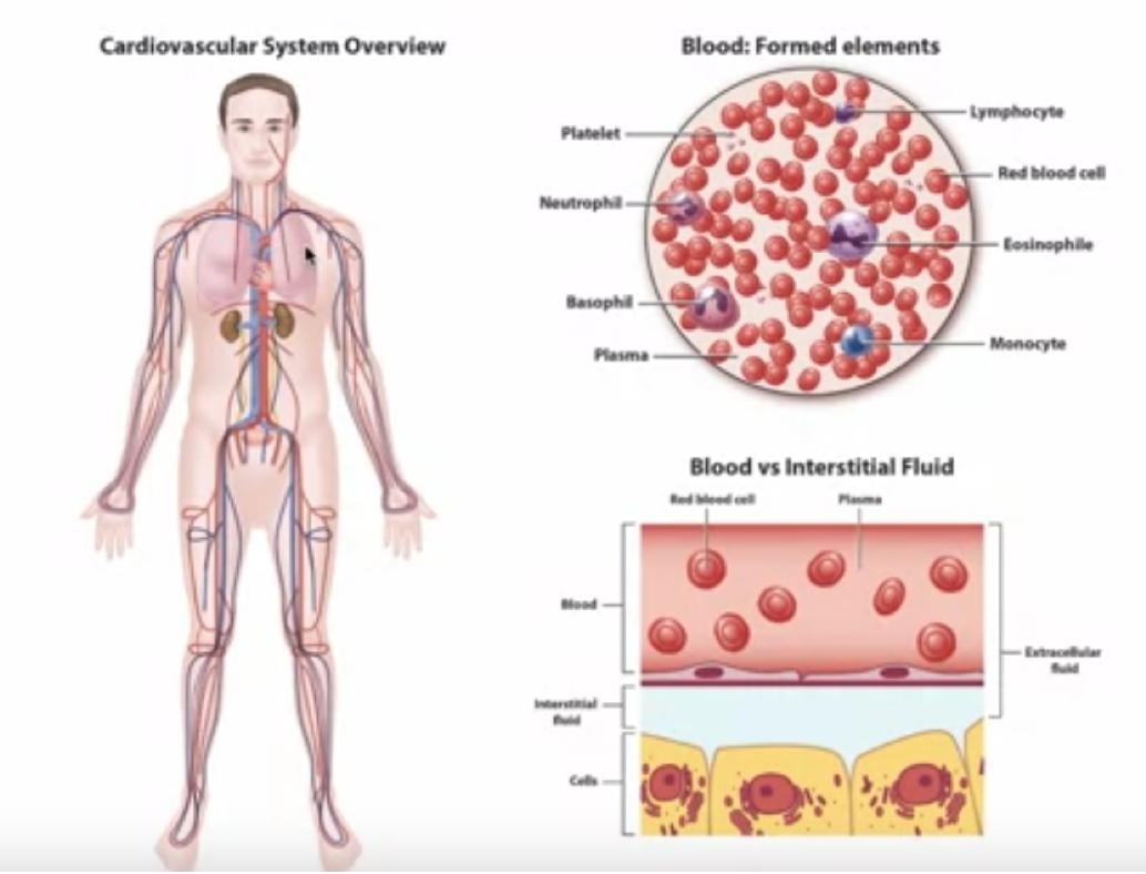 英语专业英语词汇,专业英语学习视频