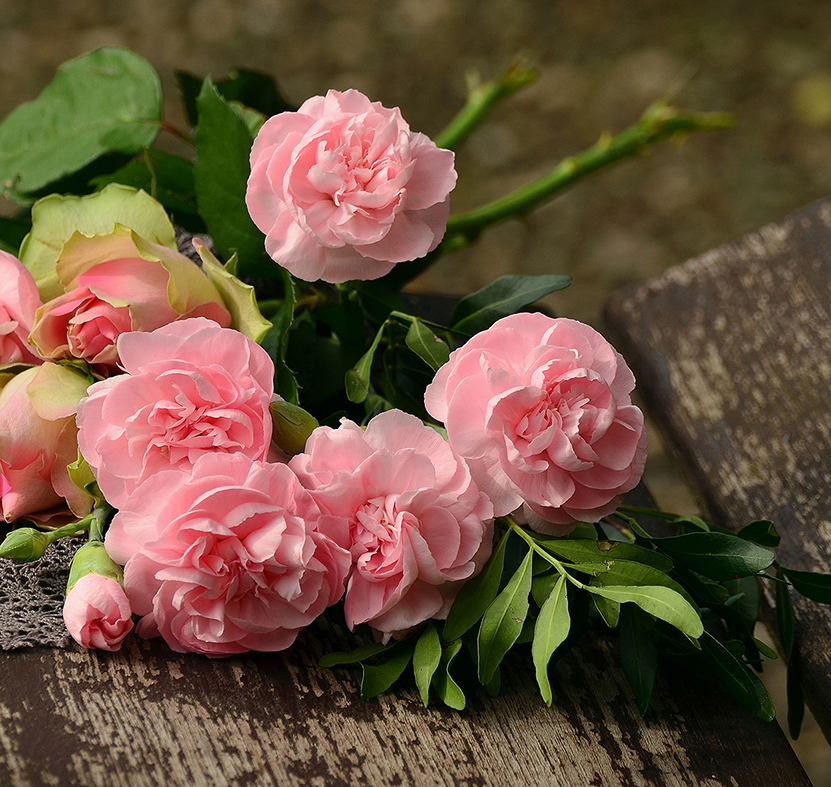 超级盈利项目,超级盈利法则