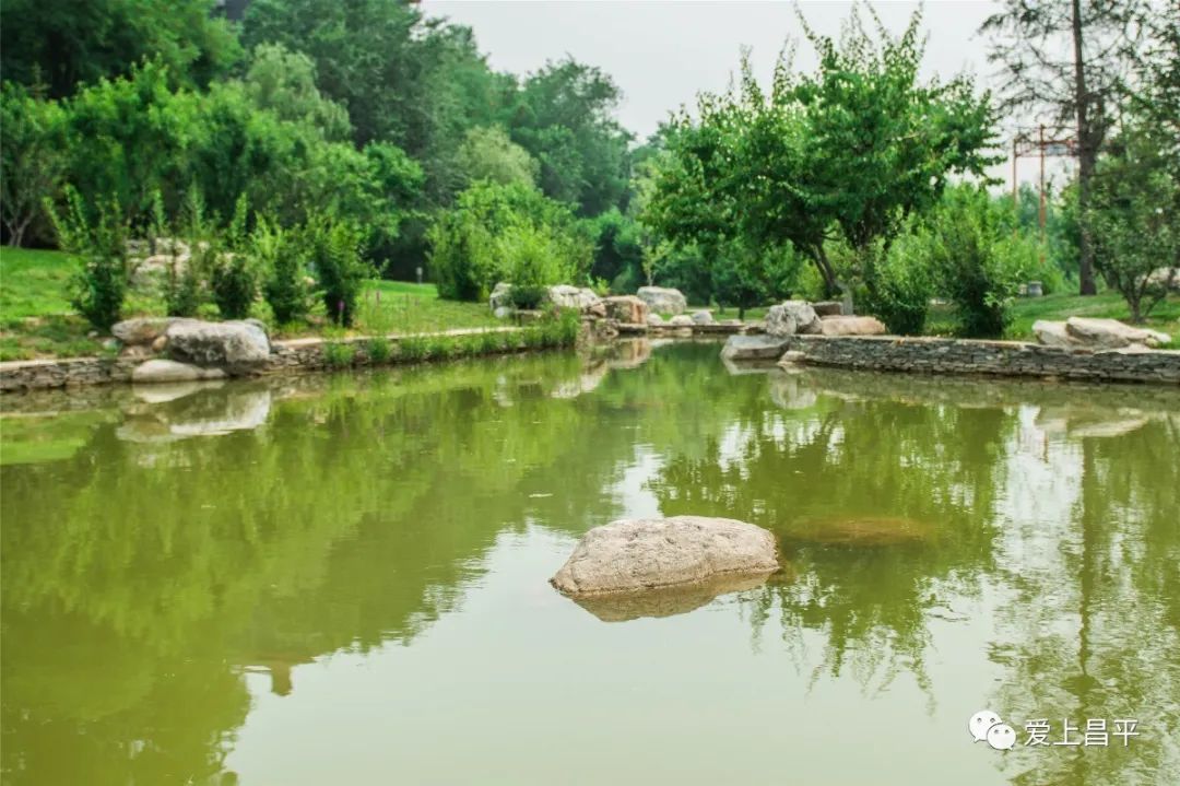 夏日京郊高端民宿,清爽到极致的民宿