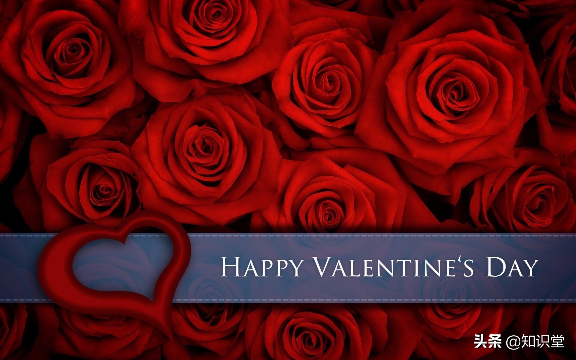 情人节送女生的情话暖心短句,情人节最新祝福语送给你