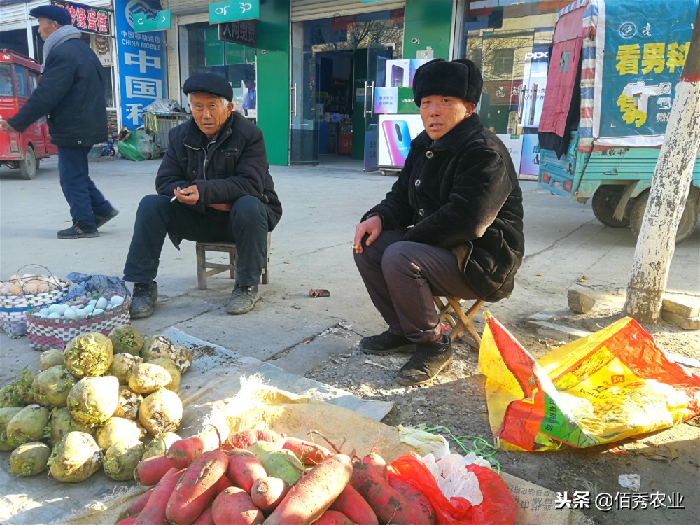 农民种蔬菜注意事项,土地种植蔬菜怎么管理好