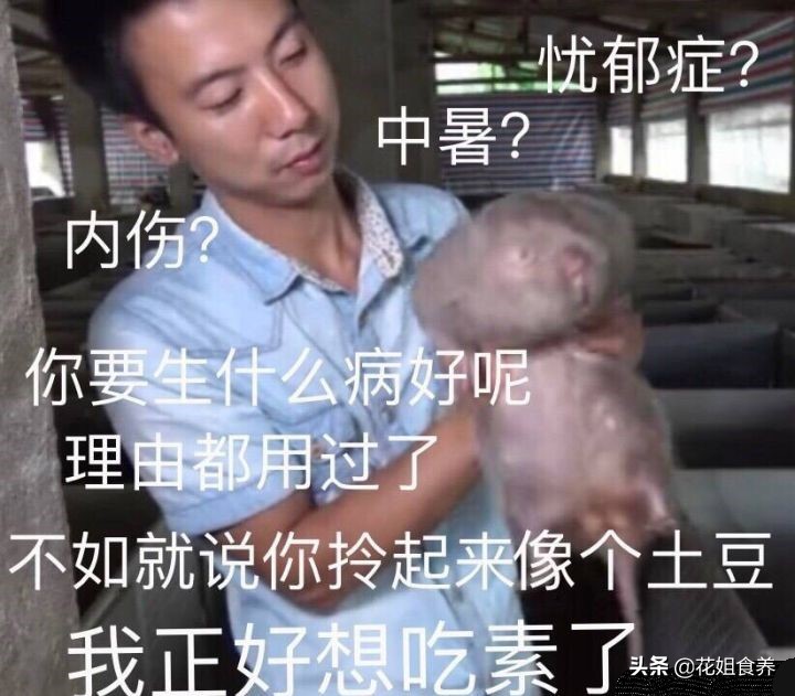 华农兄弟中暑事件,华农兄弟竹鼠中暑拿去河边