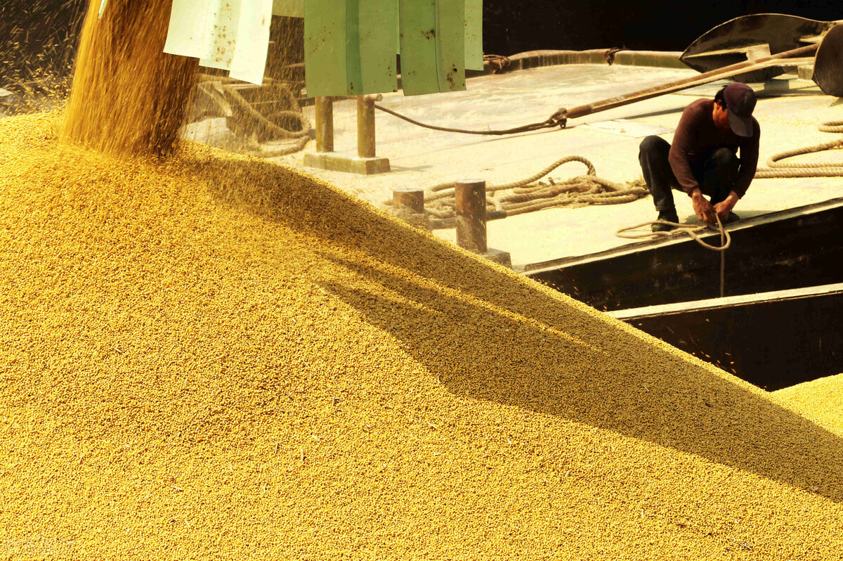 东北大豆价格最新行情现在多少,国内大豆价格近10年走势图