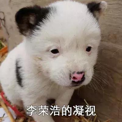 眉毛印章？蔬果蒸脸器？求求你们别再交智商税了！！！