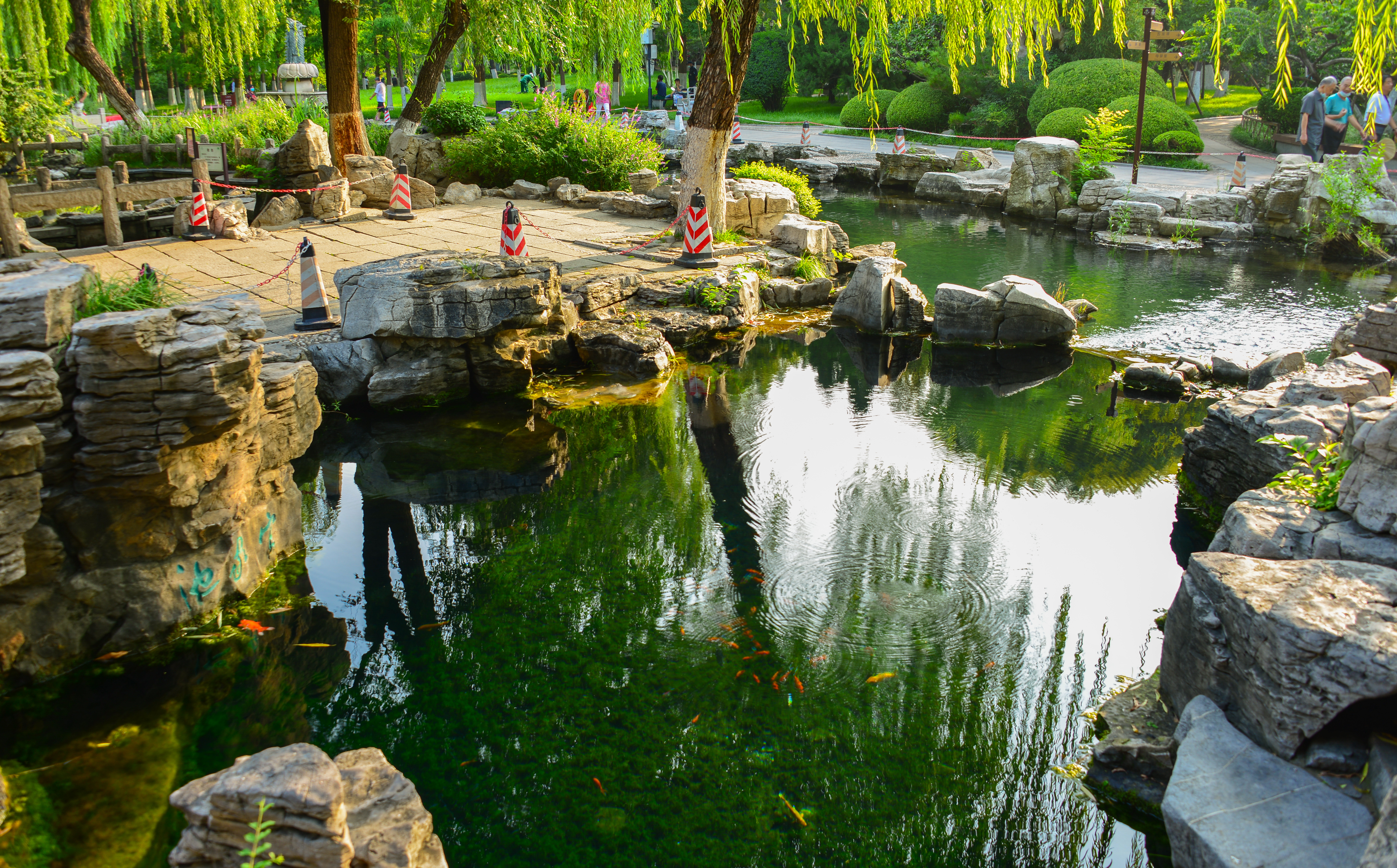 济南七十二名泉之水帘泉,济南七十二名泉之晓露泉在哪里