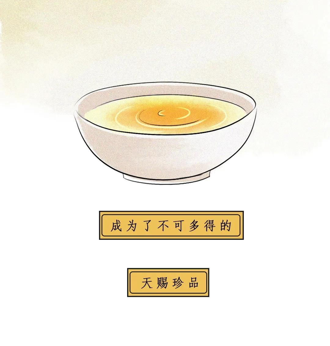 江西茶油树图片,江西茶油价格表