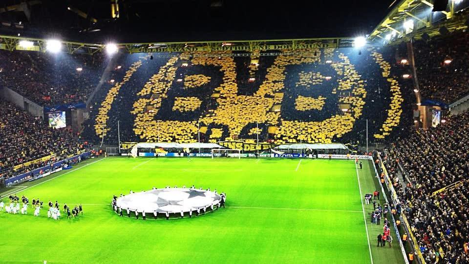 见证历史把握未来魔鬼主场的黄色风暴来了