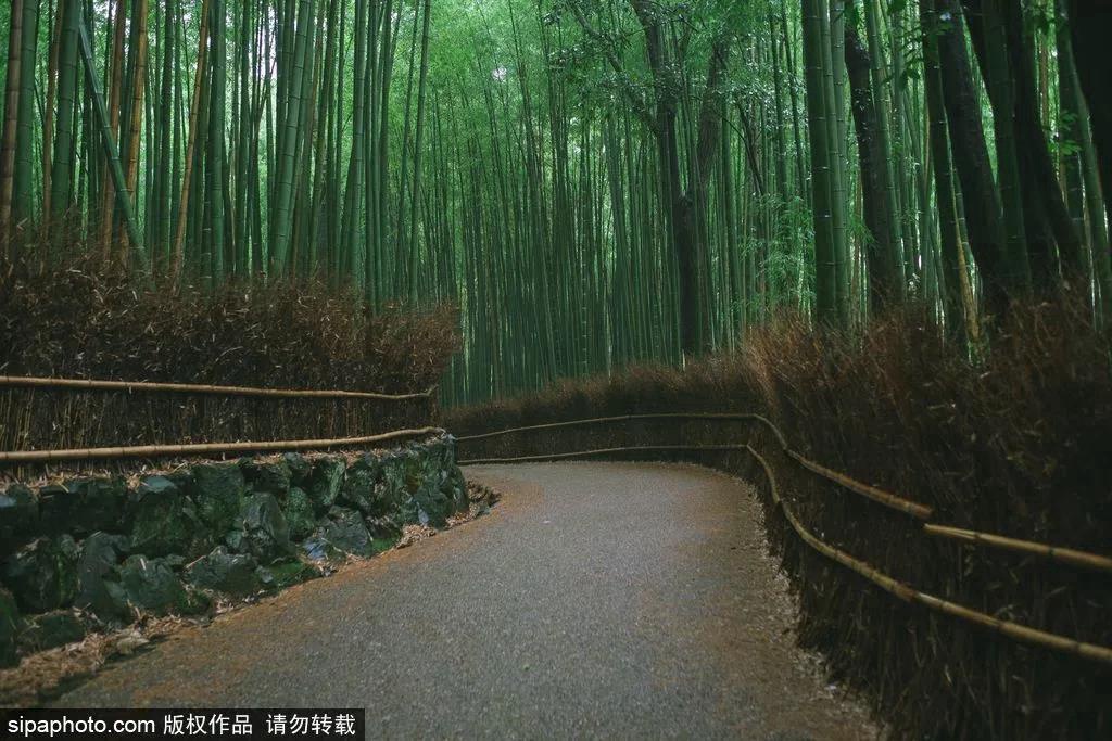 七夕宝典|山有木兮卿有意，昨夜星辰恰似你~