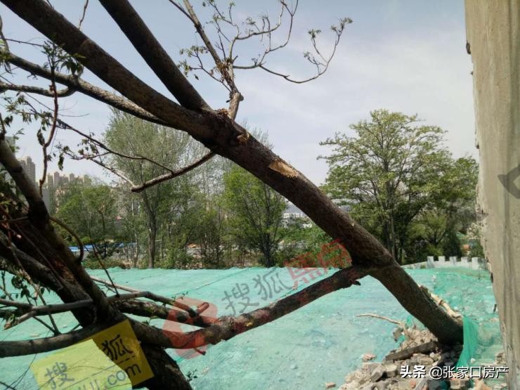 张家口建了什么学校,张家口涿鹿中学旧校区