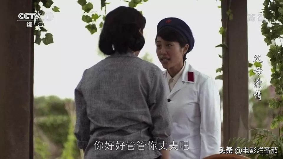 父母爱情为何拿奖,父母爱情总共获得几回奖