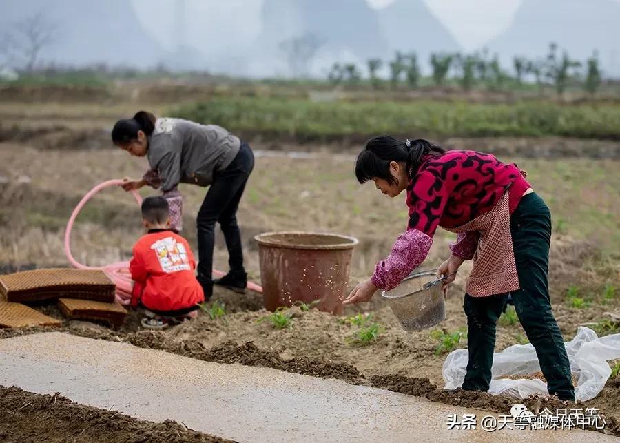天等抢劫,天等抢钱案