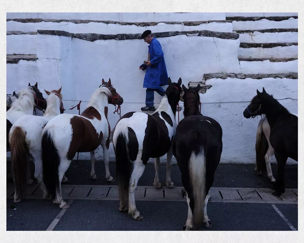 像素低提高像素能改变画质吗,像素和画质的说明