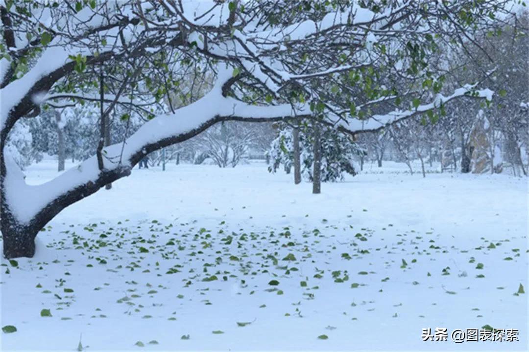 中国牡丹之都的视频,中国牡丹之都创业基地