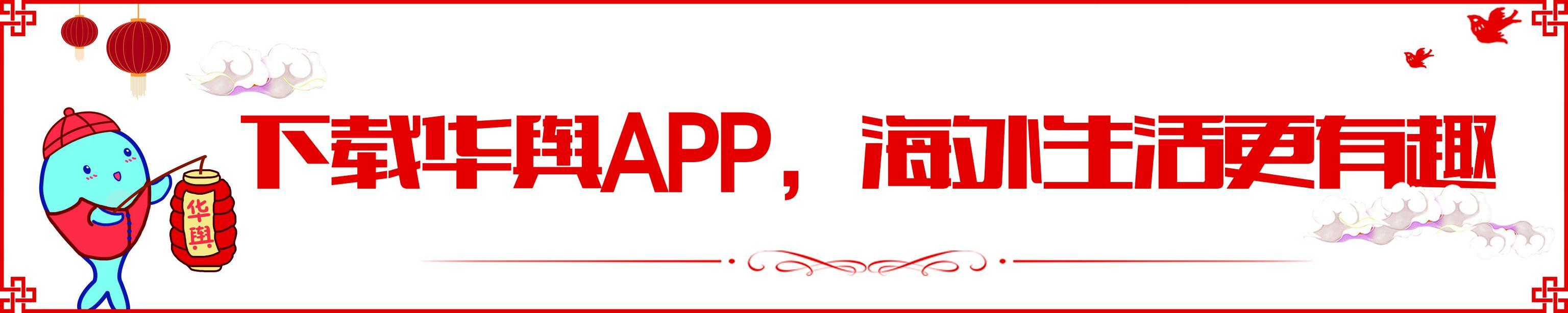 国家最新跨境物流政策,跨境电商奶粉政策解读