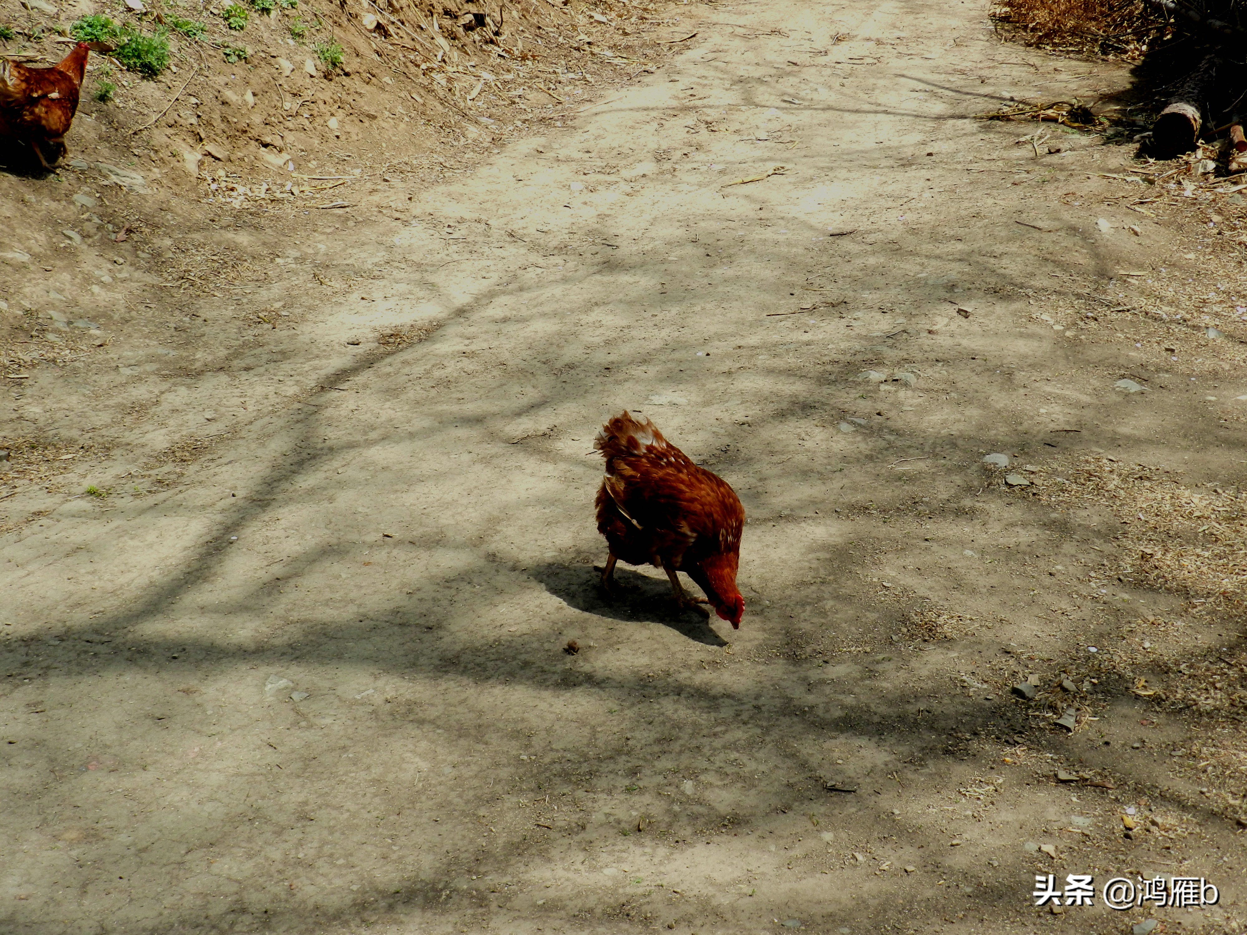 本溪小众秘境,本溪神秘山村