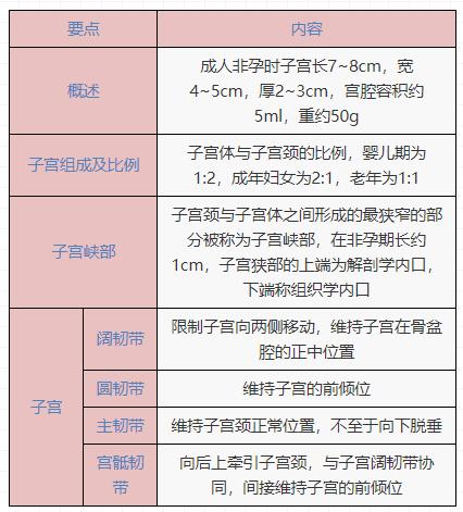 生殖系统解剖考点,妇科生殖系统考点