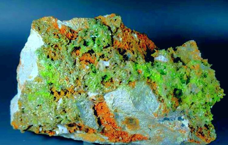 黄顺发紫砂,黄顺发字画