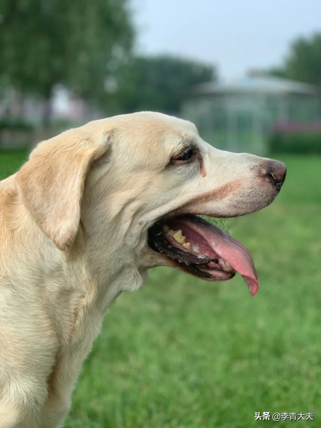 麦扣的家庭,麦扣的质感好物