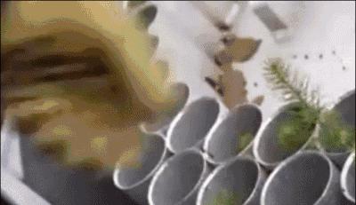 为啥德国拥有2000多个世界名牌,为什么德国有那么多500强