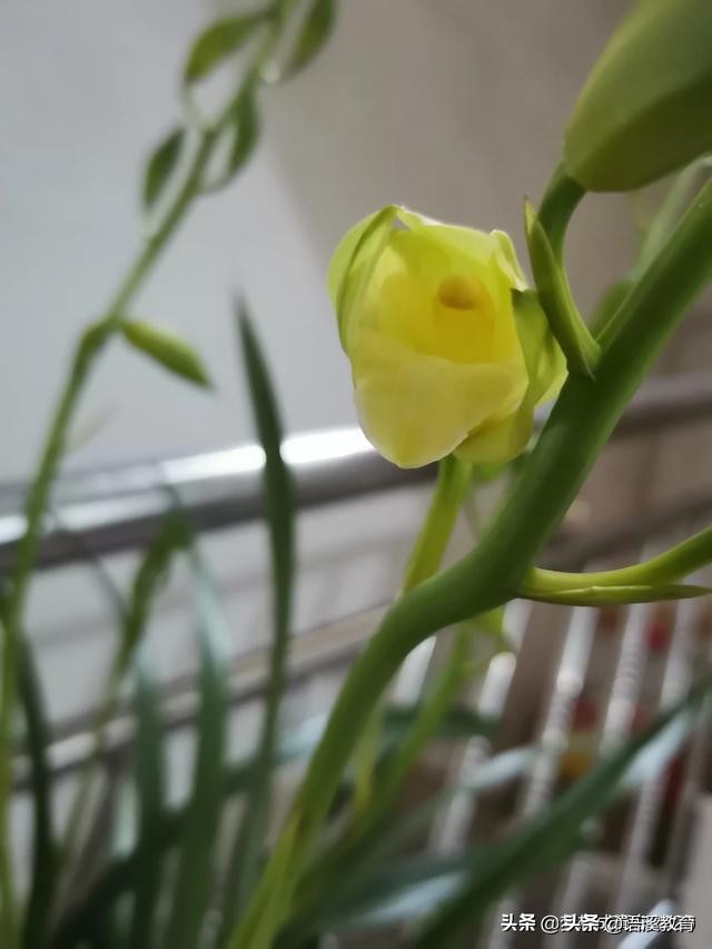 可以看到朋友定位的地图app,情侣能看到定位的app