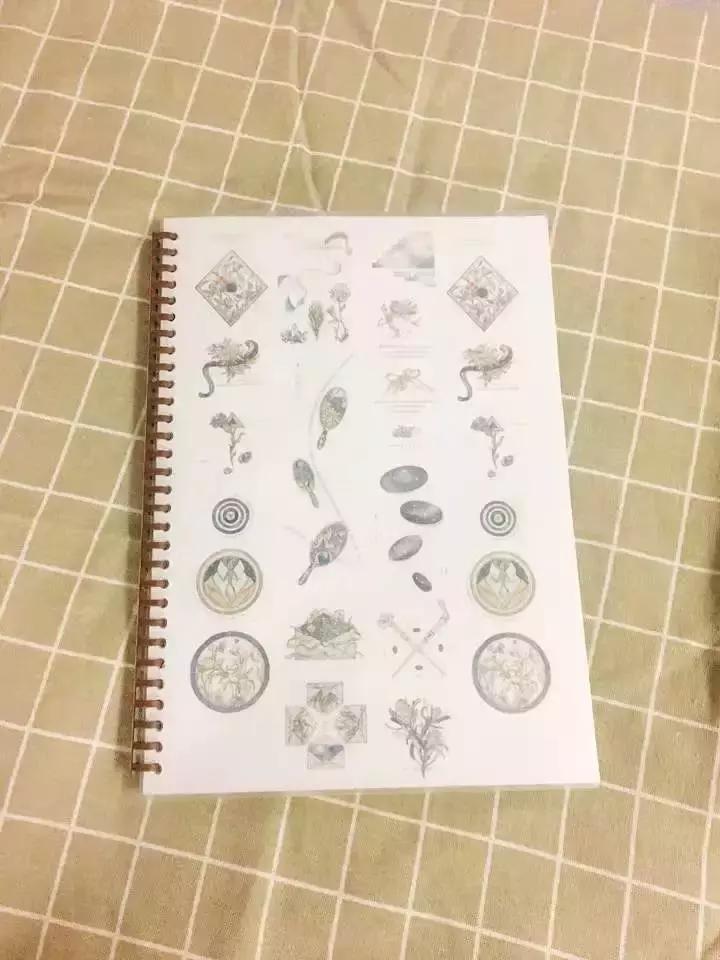 新手胶带套装怎么选购的,新手必买胶带