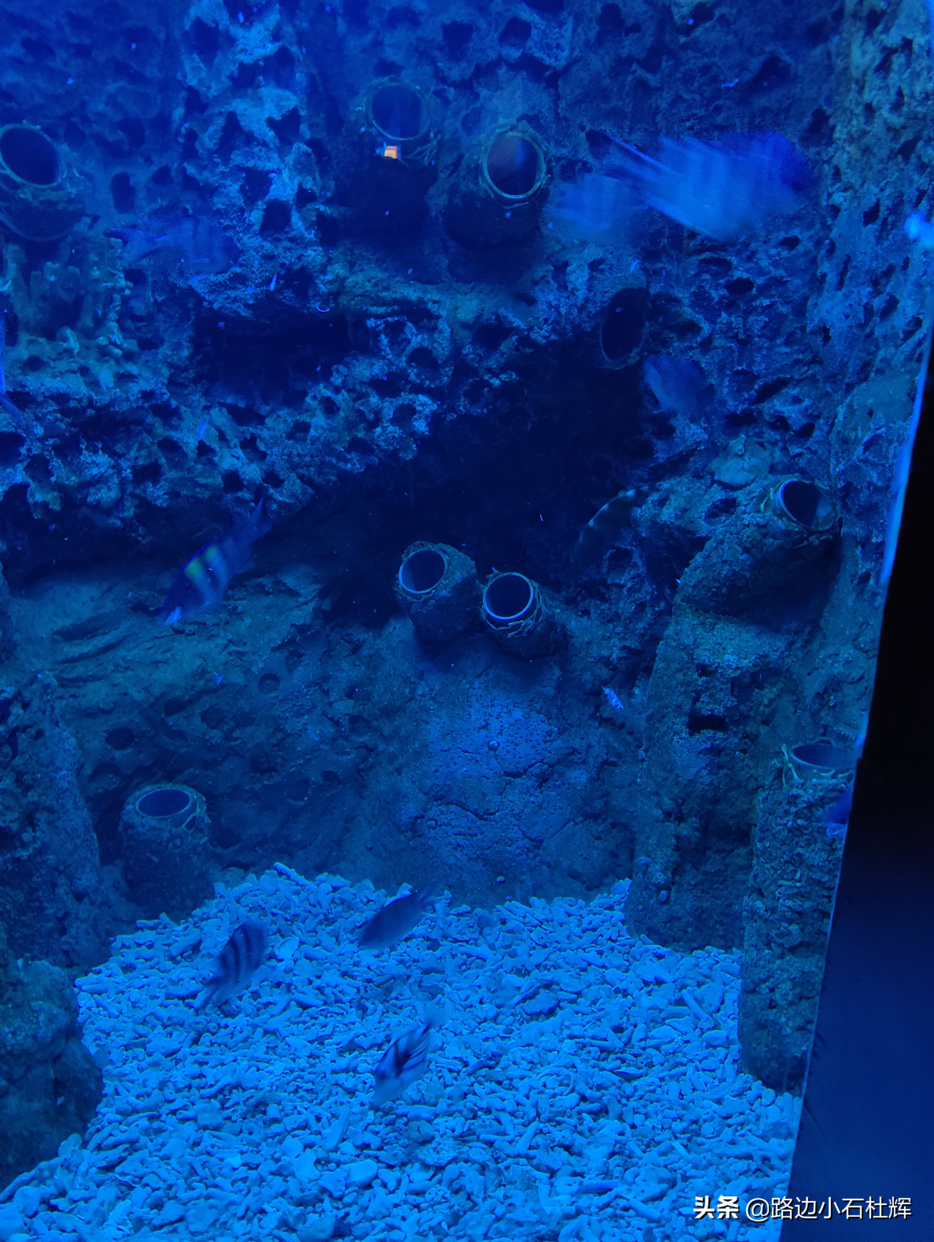 北京海洋馆游玩一览表,北京太平洋海洋馆海底世界