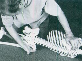 产后骨盆错位矫正办法,骨盆旋转错位怎么恢复