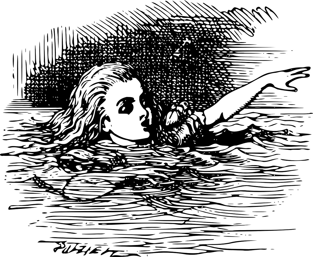 chin和jaw区别,chin与jaw有区别吗