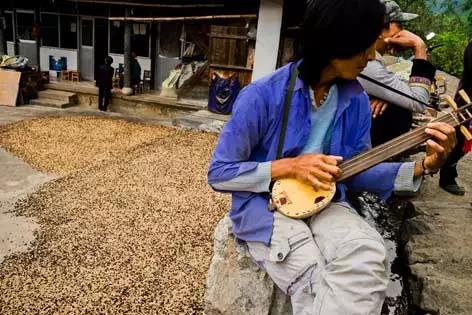 云南怒江秘境咖啡,怒江傈僳族咖啡