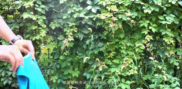 媳妇买过的厨房用品,老婆买回来的这些实用居家物品