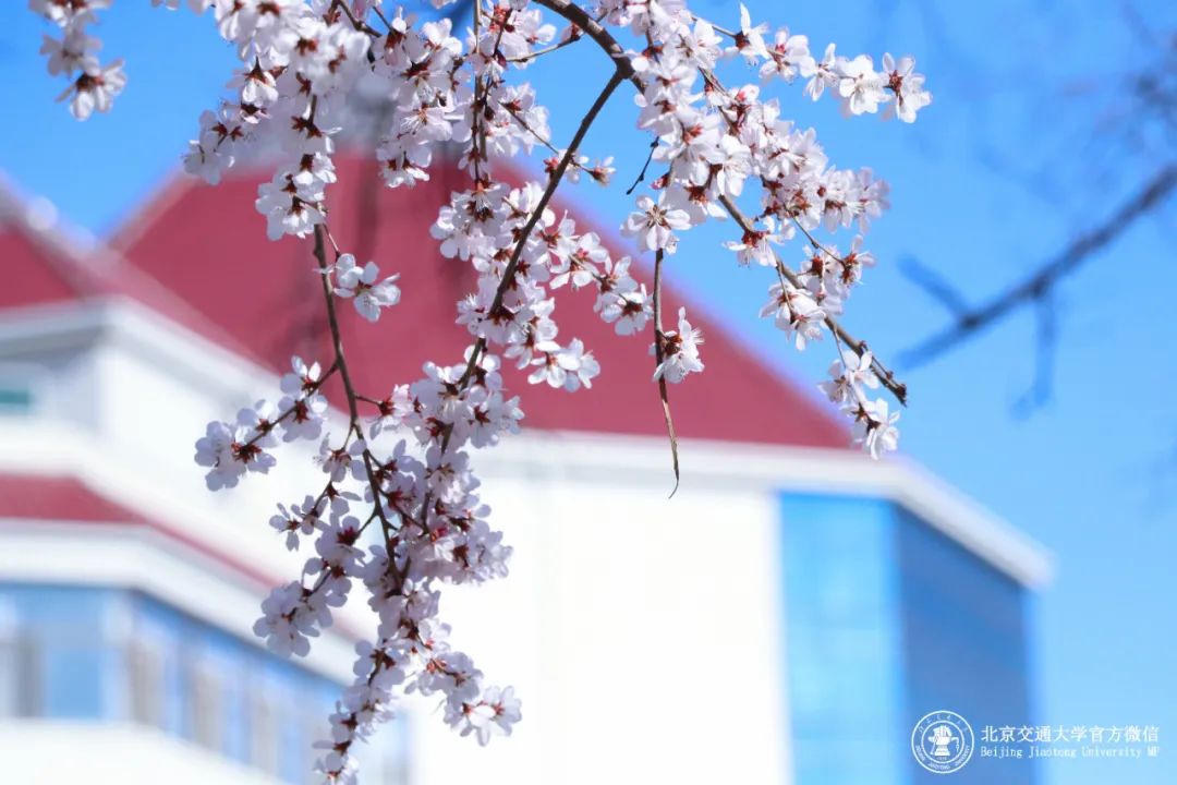 等你！交大气味图书馆，今日“开放”