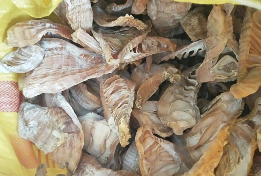 怎么挑选大笋和小笋的区别,春天笋怎么选比较嫩