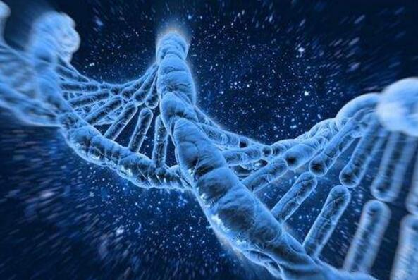 晨看*疆新**｜*疆新**已有35家医疗机构被取消定点资格，十二生肖*物文**乌市博物馆开展