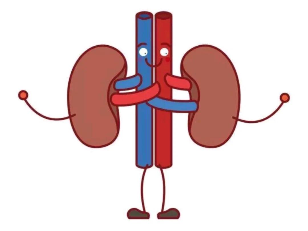 血压高了为什么会引发尿毒症，有什么症状，如何避免？医生讲清楚