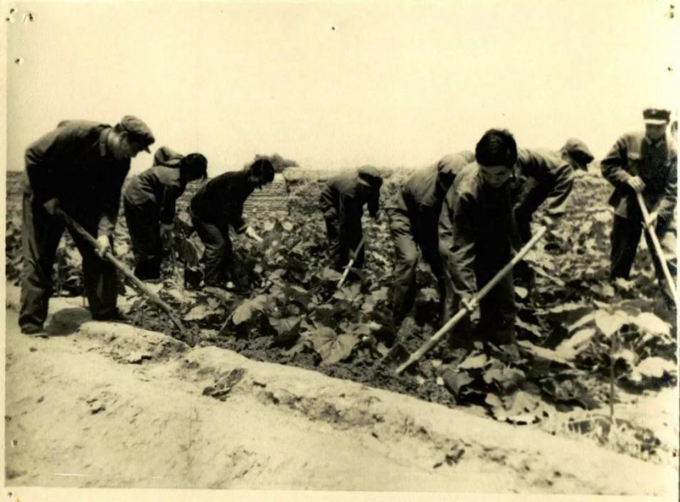 65式军装军训老照片,三十年前新兵军训老照片