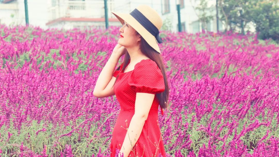 浦口最炫花海景点,浦口的花海