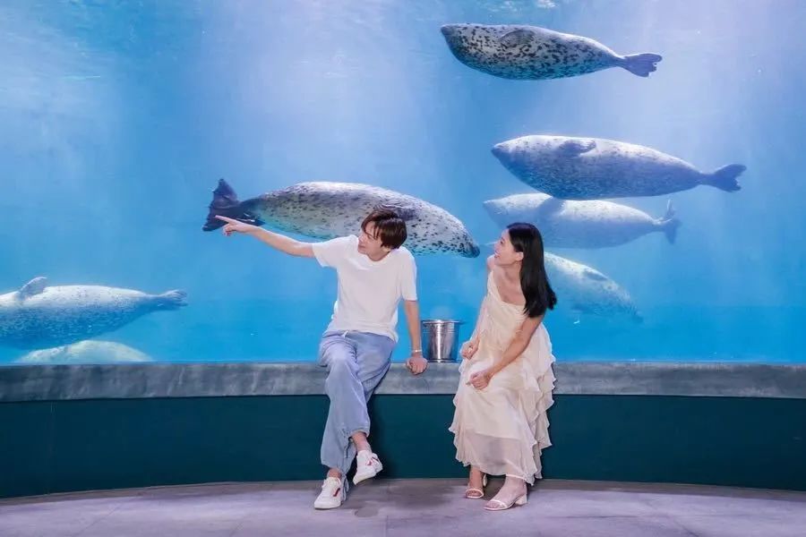 闈掑矝鏃呮父缃戠孩缇庨鎵撳崱鎺ㄨ崘,娴锋磱鍔ㄧ墿娴峰簳涓栫晫鎵撳崱