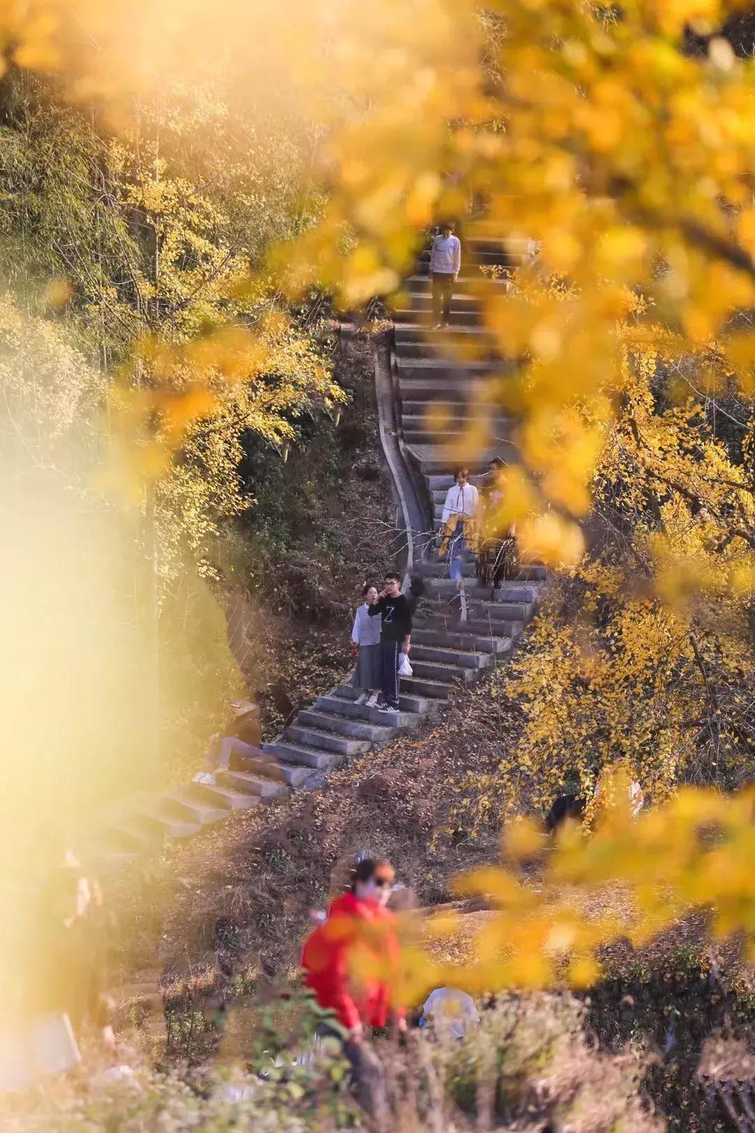甘谷县磐安温泉,温泉磐安