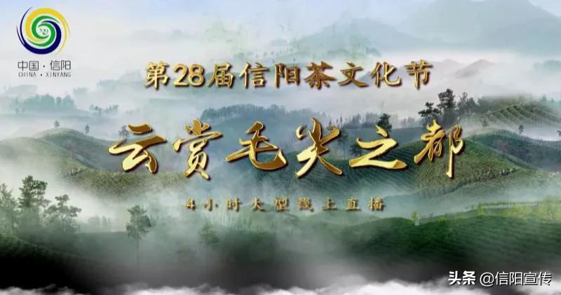 宣传文化工作亮点,信阳市宣传