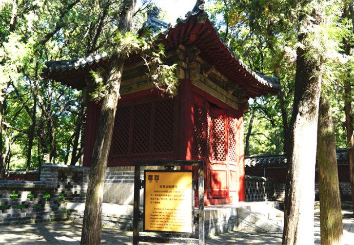 孔林是最大的氏族墓地吗,孔林最大墓葬群