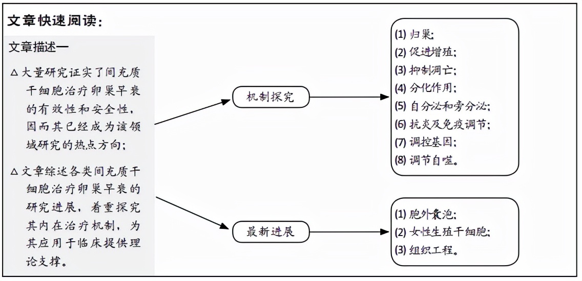 间充质干细胞治疗多囊肾,干细胞治疗卵巢早衰的最新消息