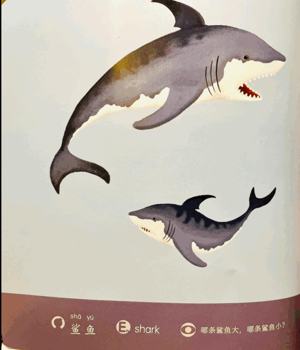 犹太人的智慧和教育方法,犹太人的早教