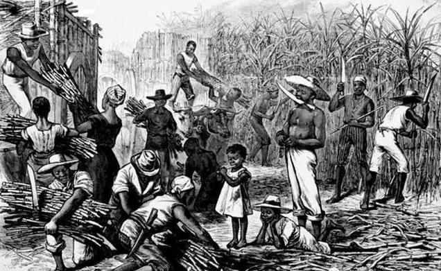 为什么朗姆酒被誉为海盗之酒,朗姆酒被称为海盗之酒的原因