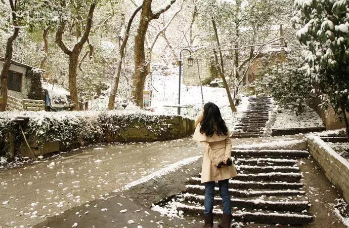 12月成都出发白菜价机票大全,4月机票低至99元