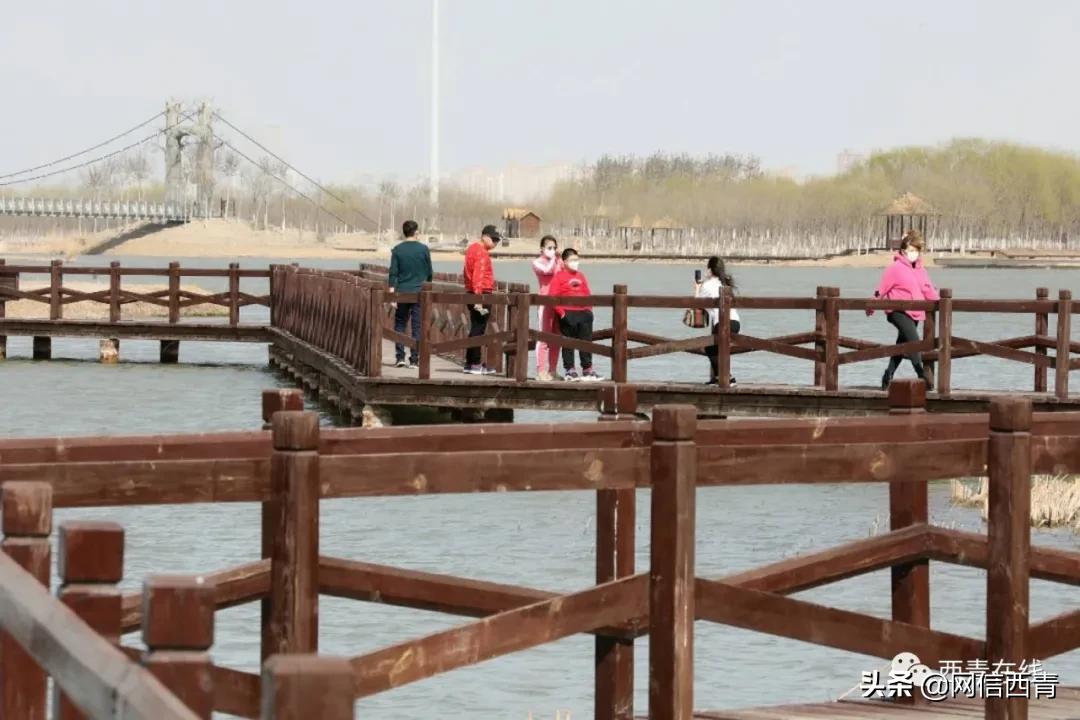 天津12座公园建成开放,2020天津已开放的郊野公园