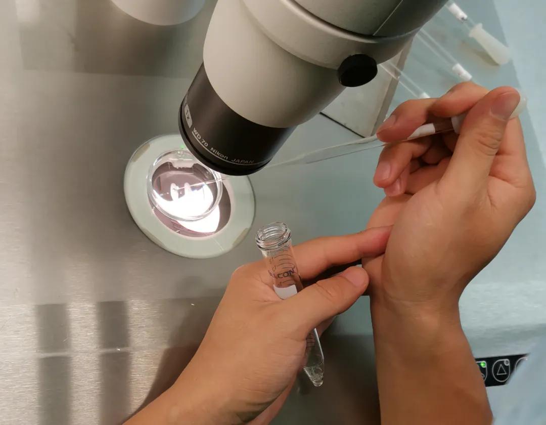 「喜报」河北省首例单精子冷冻患者成功升级为“准爸爸”