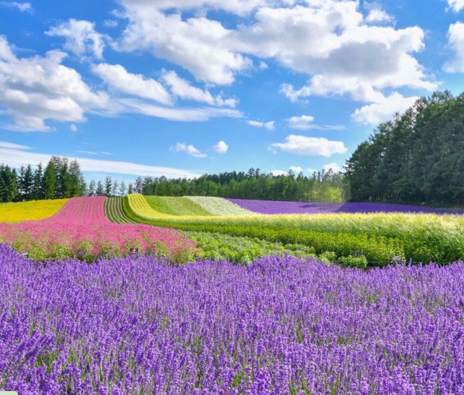 cnn评选出的日本最美的31个景点,cnn评选世界十大旅游地